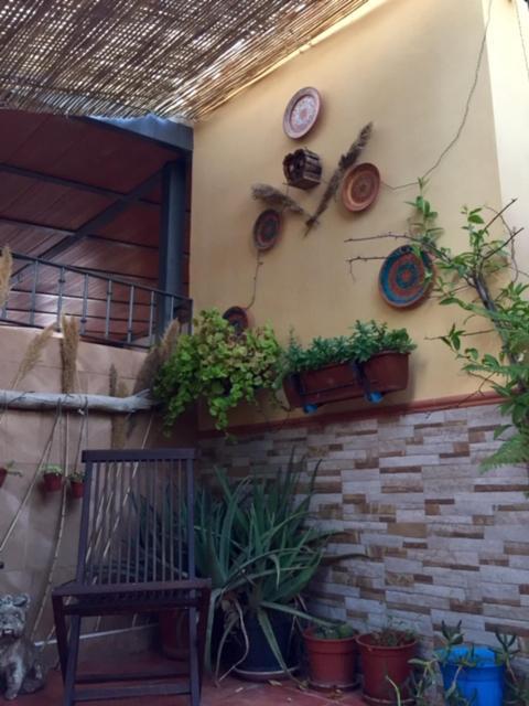 Apartamento Cool Garden Майрена дел Алхарафе Екстериор снимка