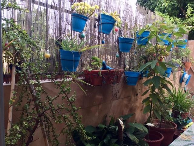 Apartamento Cool Garden Майрена дел Алхарафе Екстериор снимка