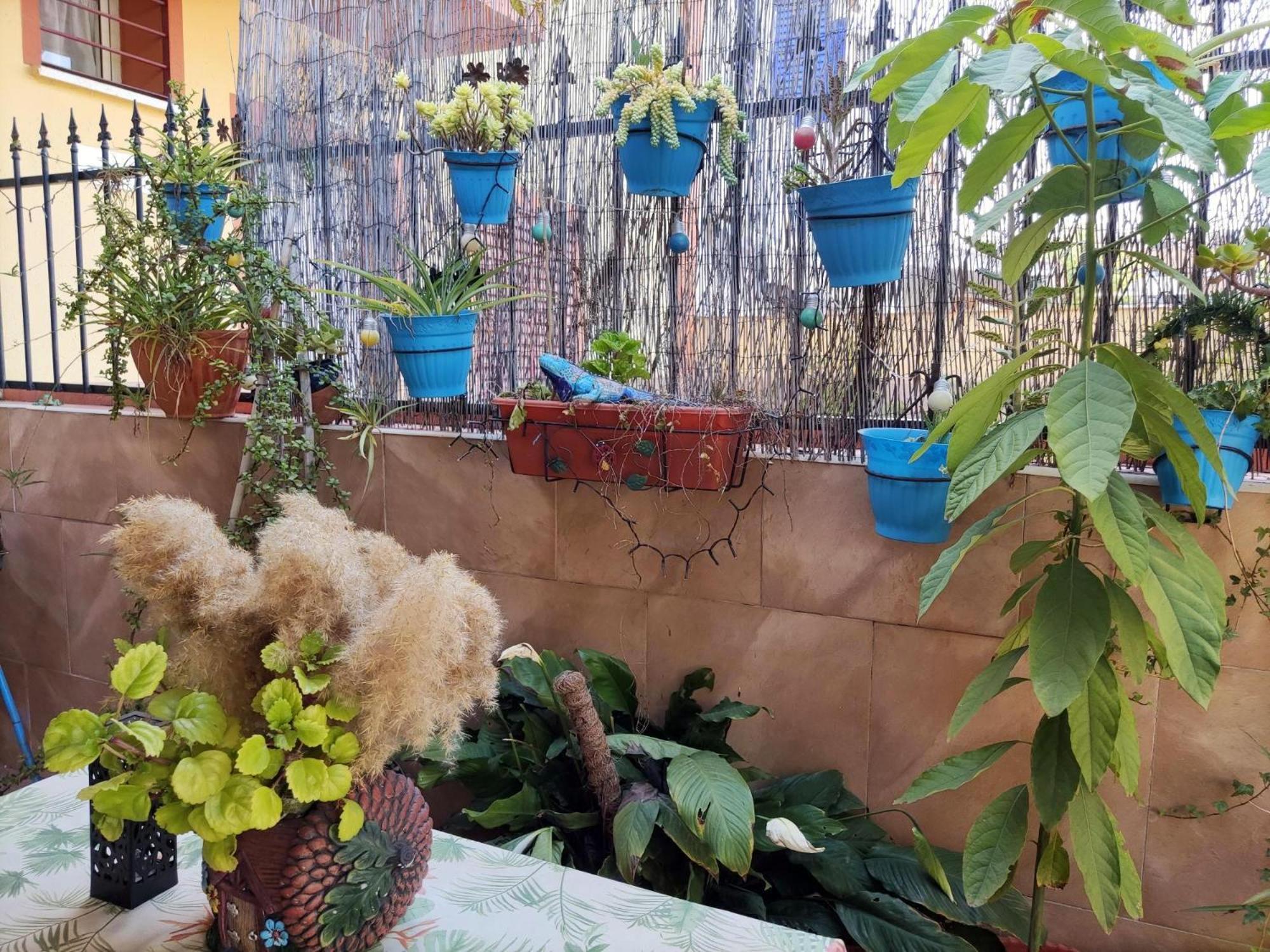 Apartamento Cool Garden Майрена дел Алхарафе Екстериор снимка